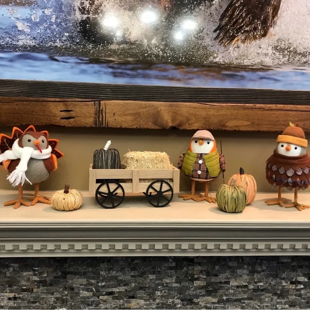 Target 2022 Featherly Friends Bird Fall Thanksgiving Jora